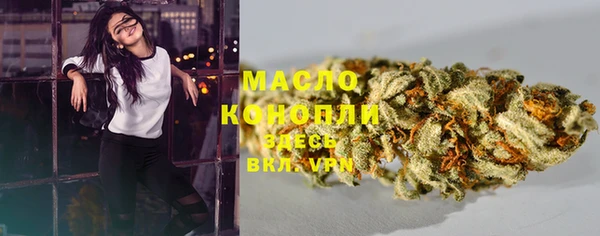 СК Инта