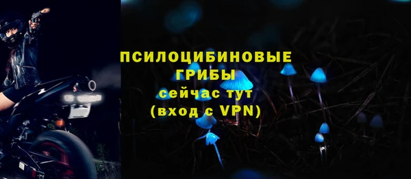 дмт Инсар