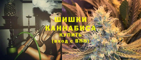 дмт Инсар