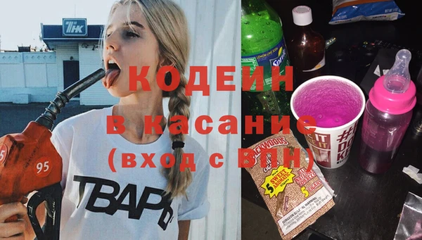 дмт Инсар