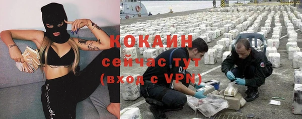 дмт Инсар