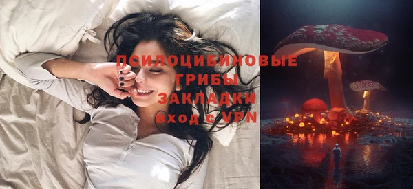 дмт Инсар