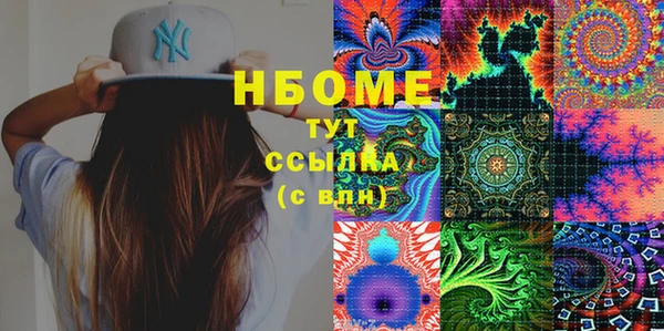 дмт Инсар