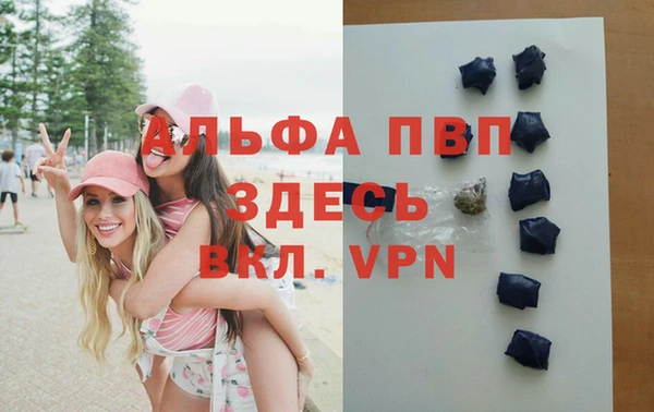 СК Инта