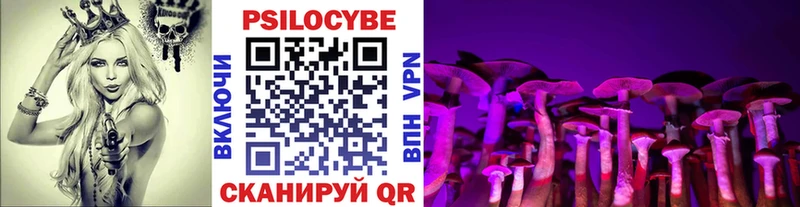 Галлюциногенные грибы мицелий  купить наркотик  Щёлково 